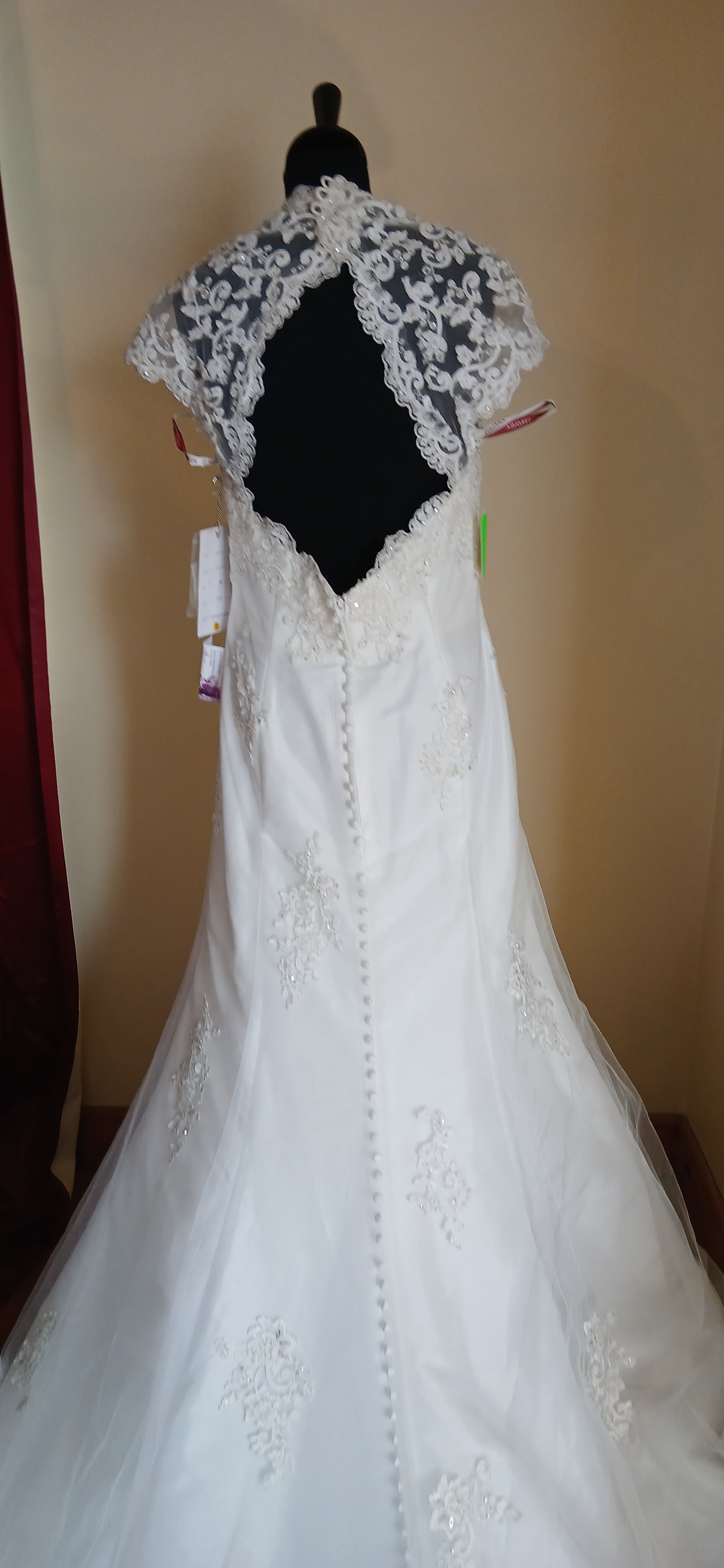 back detail