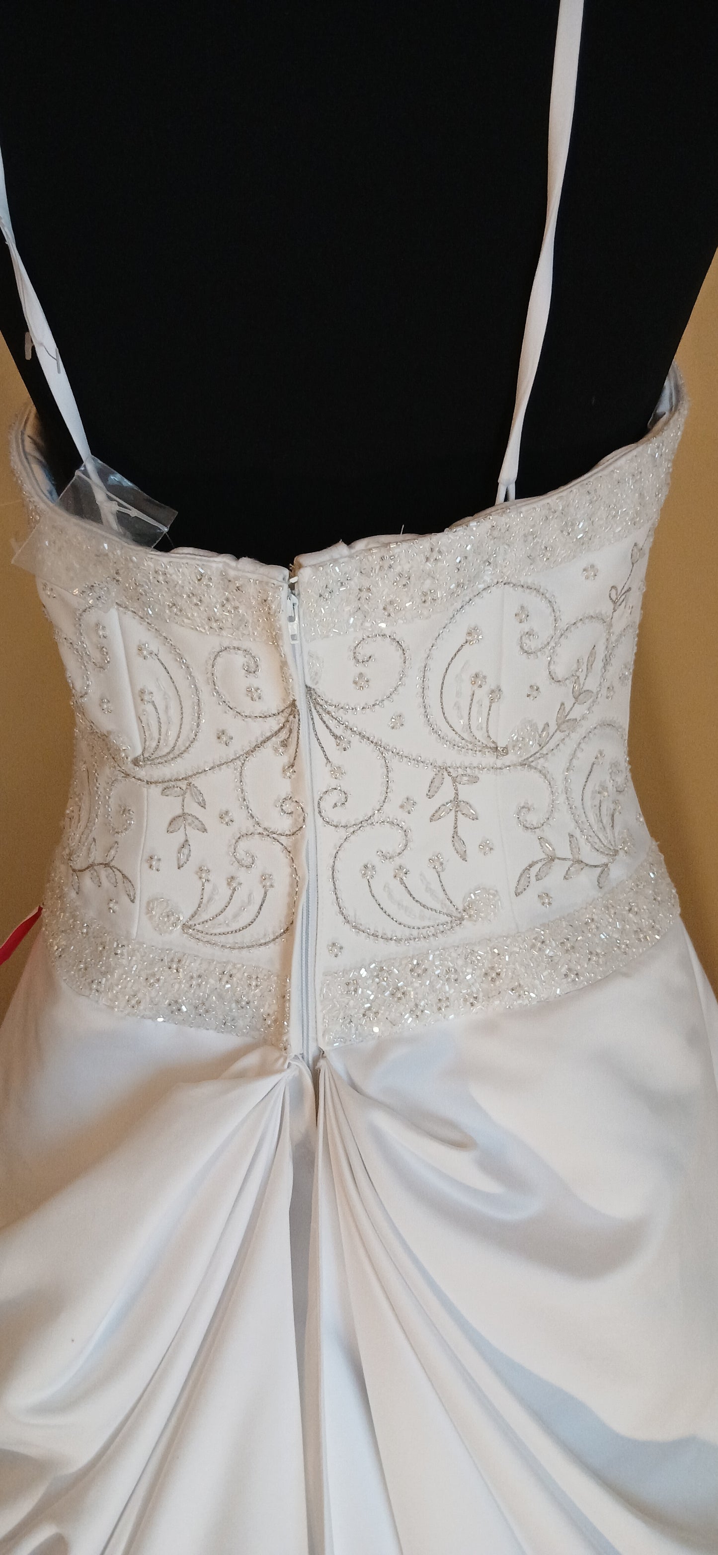 back detail