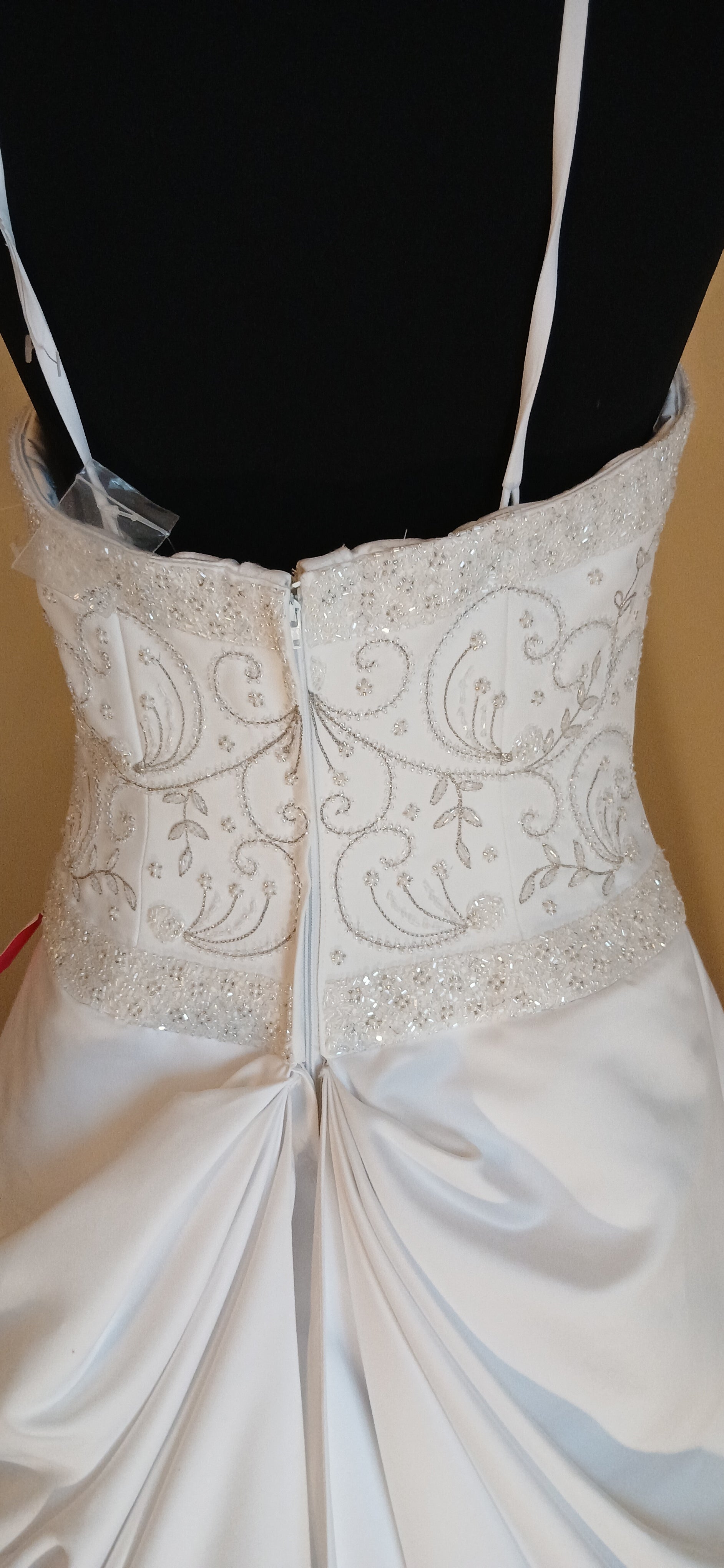 back detail
